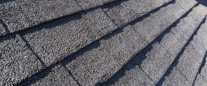 Roof Blisters Vs Delamination